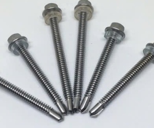 Vít Bắn Tôn 1 Bịch 10 Con
